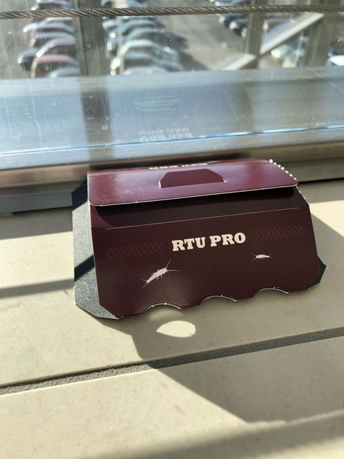 Hovedbilde Skjeggkrefelle - RTU PRO 2 STK